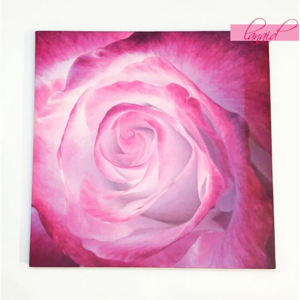 BUNDLE 3 Rose Floral Flowers Pink Orange Square Wall Hangings Art Mounts Lot Set